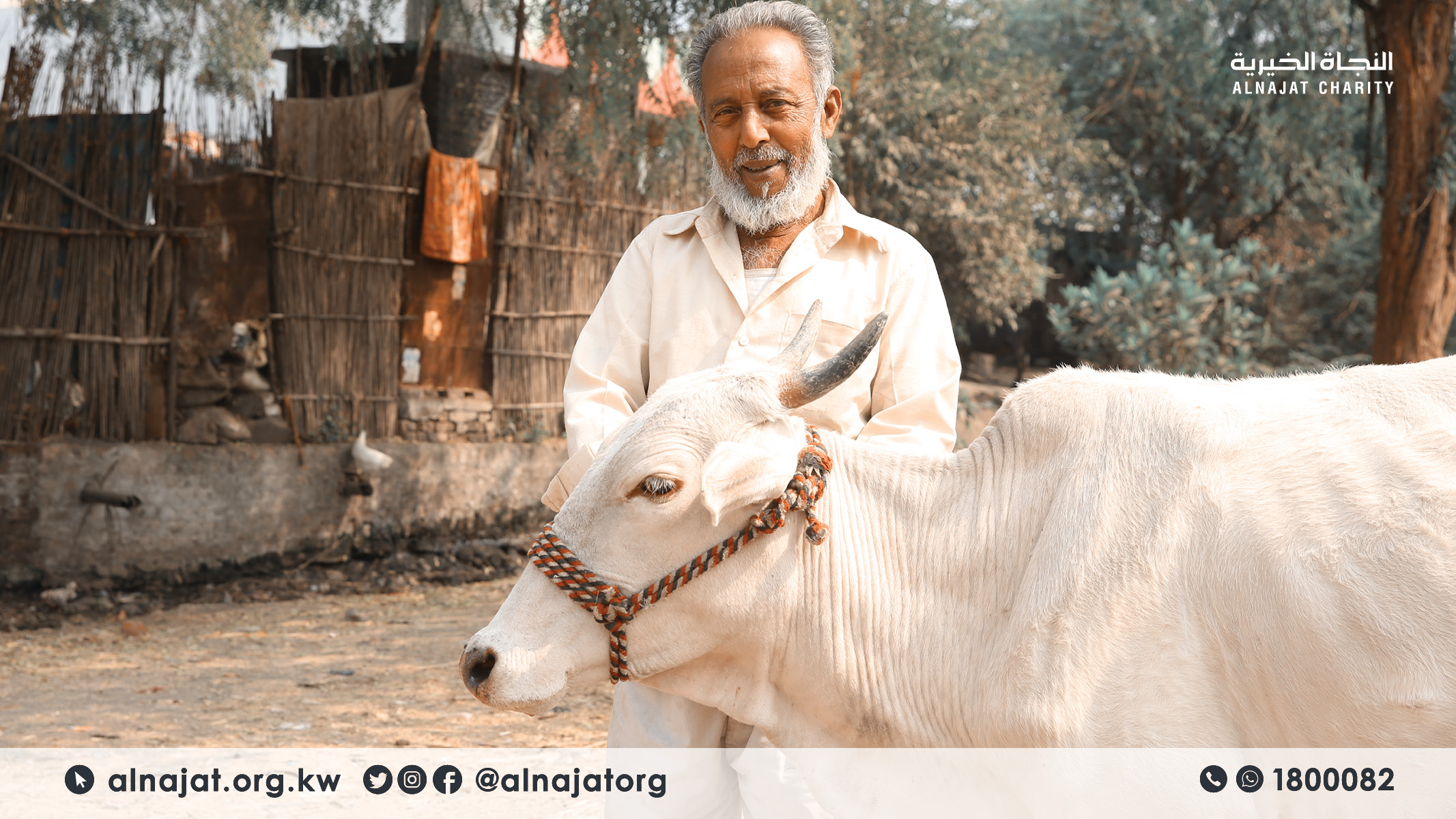 مشروع البقرة الحلوب بسيلان - جمعية النجاة الخيرية