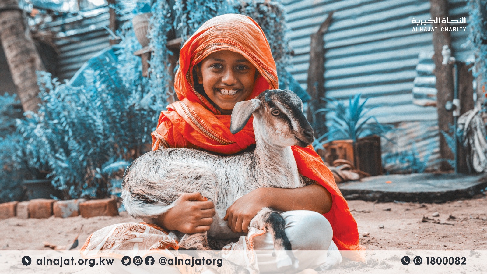 مشروع تربية الأعنام - جمعية النجاة الخيرية