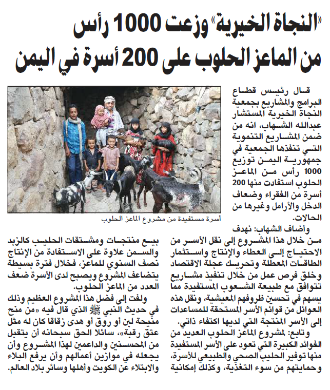 "النجاة الخيرية": توزع 1000 رأس من الماعز  الحلوب لـــ200 أسرة باليمن الشقيق