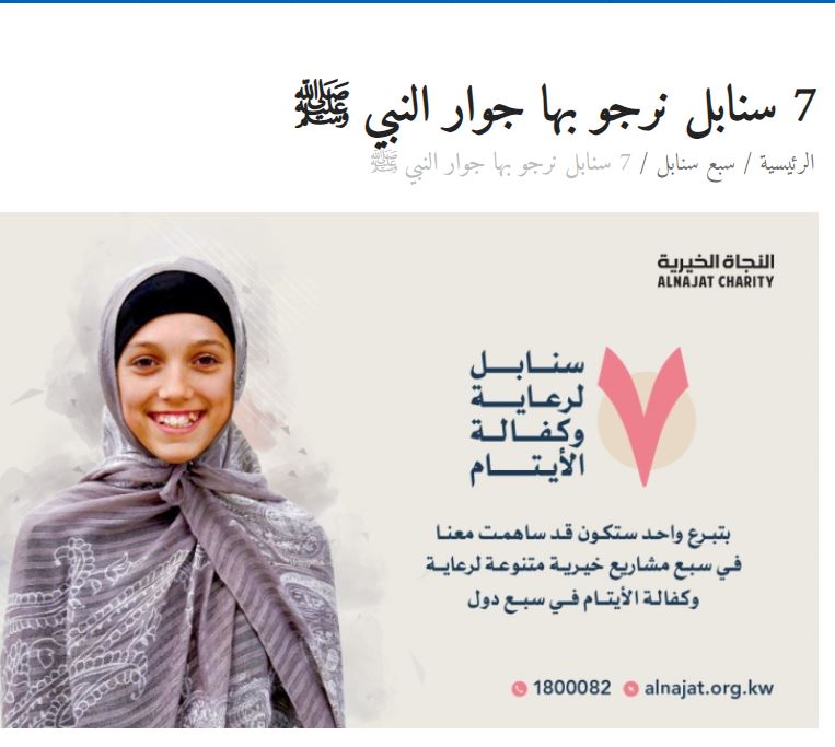 مشروع 7 سنابل الخيري في النجاة