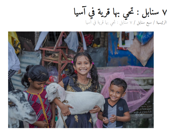 7 سنابل تحيي بها قرية في آسيا