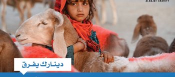 مشروع تربية الأعنام - جمعية النجاة الخيرية