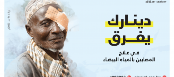 مخيمات عمليات العيون - النيجر