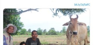 مشاريع تنموية وانتاجية مختلفة