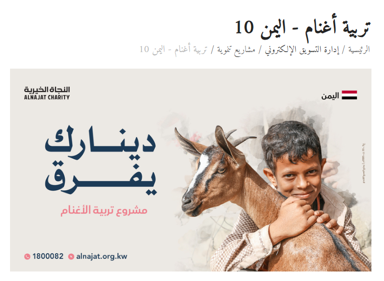 تربية أغنام - اليمن